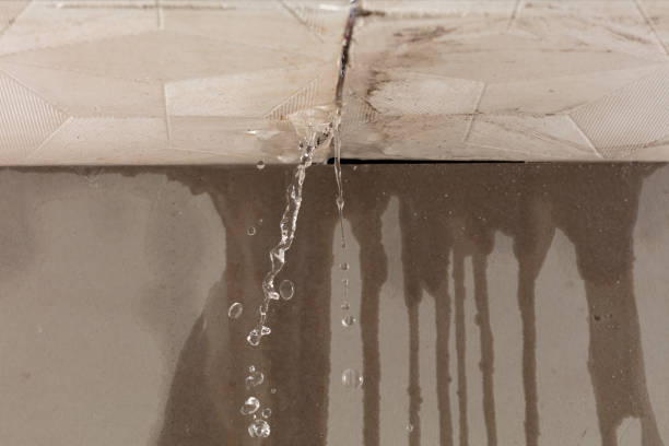 Professional Structural Drying technician working in Lake Ann, MI